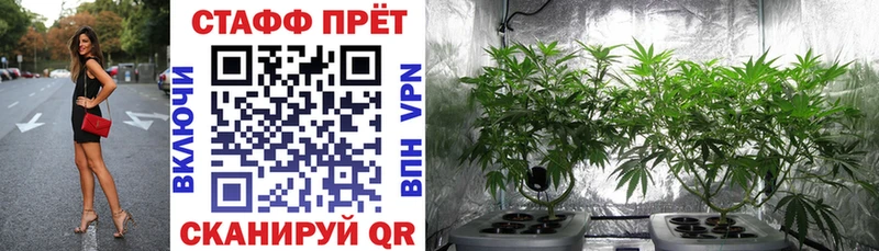 Как найти закладки Георгиевск ГАШИШ  Псилоцибиновые грибы  COCAIN  Меф мяу мяу  Канабис 
