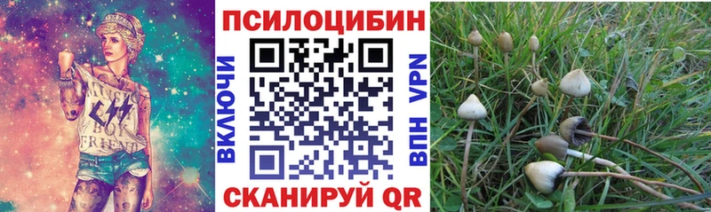 Галлюциногенные грибы Psilocybine cubensis  Георгиевск 